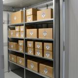 inzet batterij stellingen.jpg