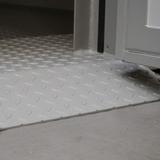 inzet traanplaatvloer.jpg